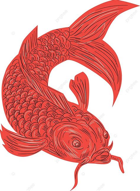 錦鯉魚畫|如何用鉛筆畫出錦鯉：魚類素描教學